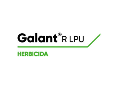 Logo de Galant LPU
